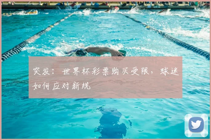 突发:世界杯彩票购买受限,球迷如何应对新规