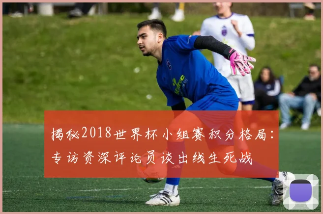 揭秘2018世界杯小组赛积分格局：专访资深评论员谈出线生死战