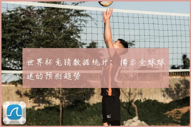 世界杯竞猜数据统计：揭示全球球迷的预测趋势