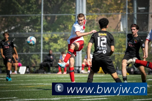 星空官网在线免费登录平台生态图