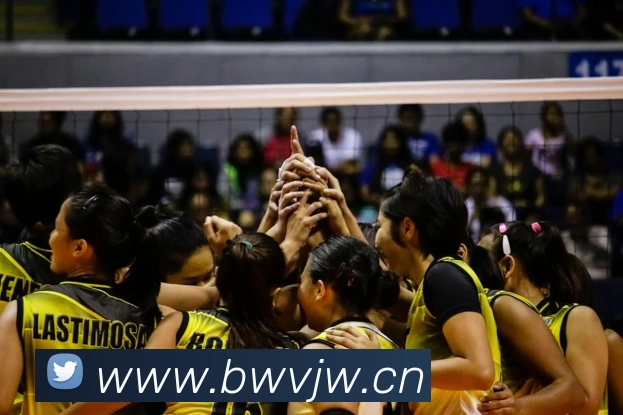 星空官网在线免费登录全站App